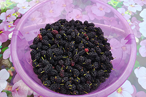 Подготавливаем ягоды