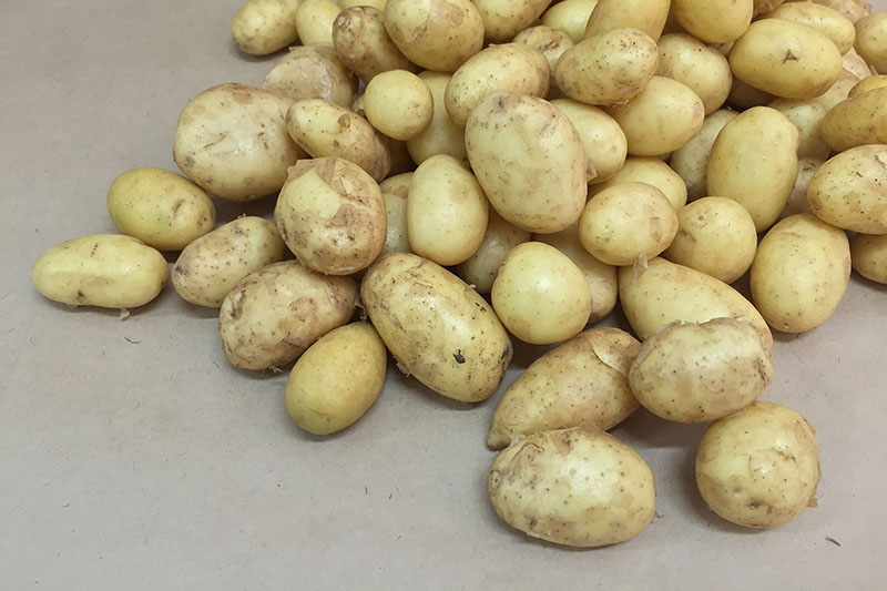 Подготовка гарнира