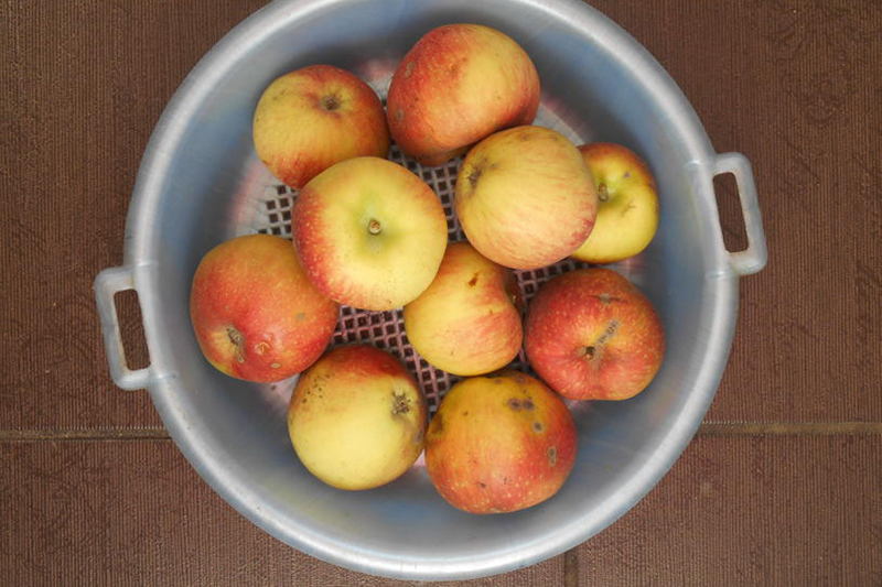 Подготовка начинки