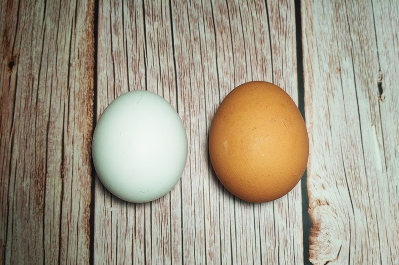 Самые вкусные салаты с яйцом