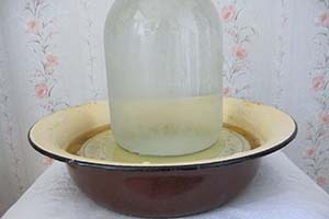 Выдерживаем абрикосы под гнётом