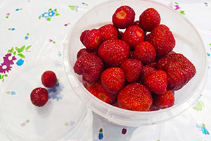 Замораживаем ягоды