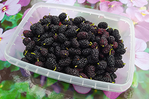 Замораживаем ягоды