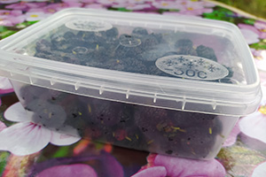 Замораживаем ягоды